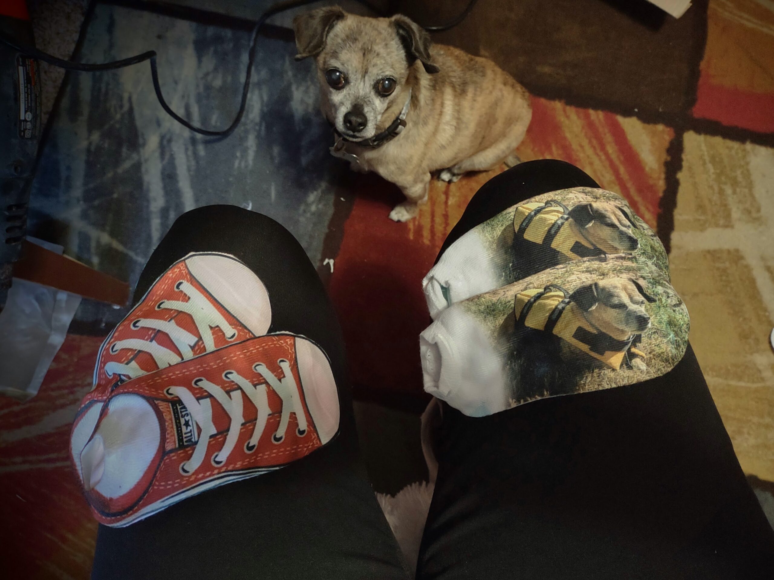sublimation custom ankle socks with dog