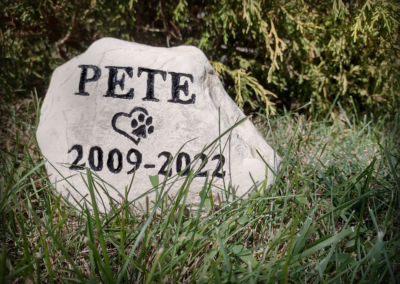 Pete- Pet Memorial - carved rock
