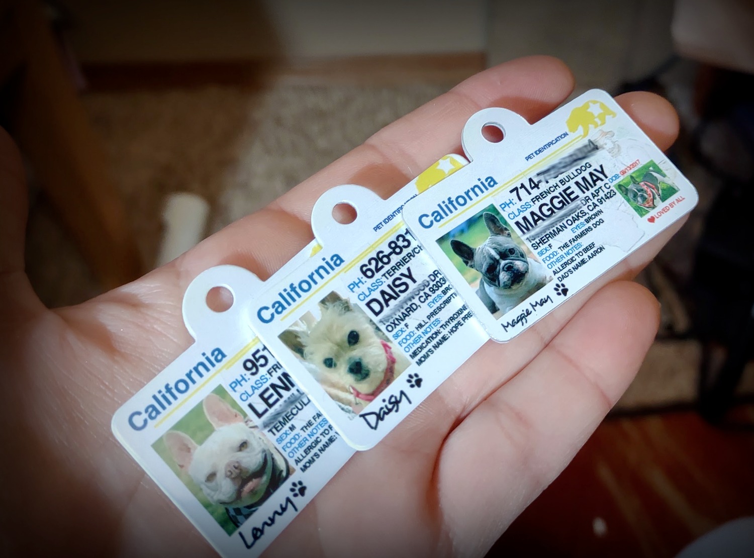 sublimation dog tags